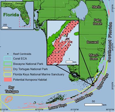 Larval dispersal patterns and connectivity of Acropora on Florida’s Coral Reef and its implications for restoration